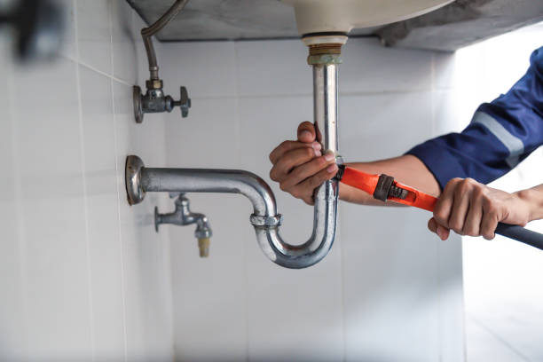 Best Clogged Drain Plumber  in Englewood, FL